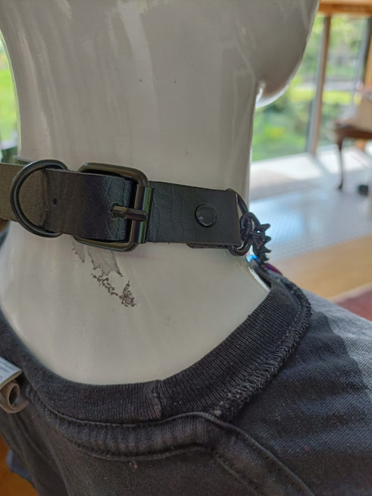 Martingale Collar- Rainbow Heart Choker